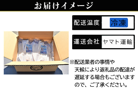 「お歳暮」海から直送！剣先イカ一夜干し いか おつまみ 干物 酒の肴