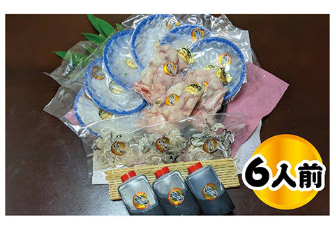 唐津産 とらふぐてっさと切り身の贅沢食べ比べ！6人前