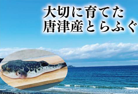 唐津産 とらふぐスパイシー唐揚げ250g×3袋(合計750ｇ )