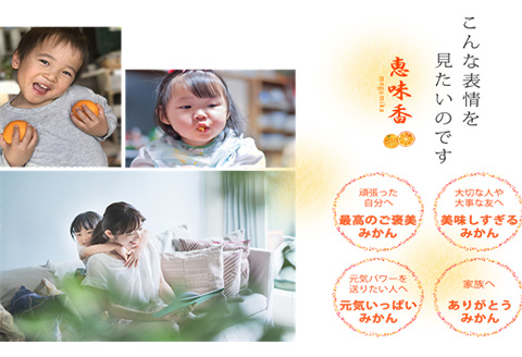 『先行予約』【令和8年2月上旬発送】果皮も丸ごとガブッ！味香みかん 10kg 新種のミカン フルーツ 果物 デザート 柑橘