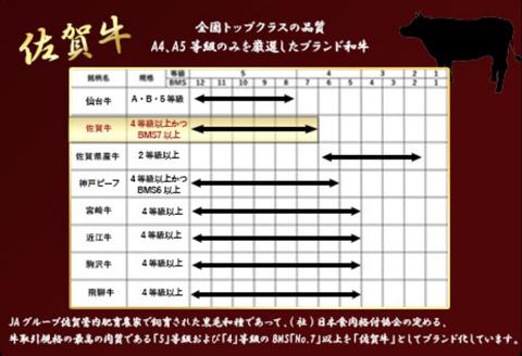 《A5～A4等級》 佐賀牛 ロースステーキ(サーロイン・リブロース)  約300g×2枚(合計約600g) 約4人前 全国屈指のブランド牛 牛肉 ステーキ ギフト 黒毛和牛 肉 冷凍 わけあり