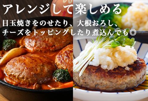 焼肉屋さんが美味しさに拘って作った 丸福ハンバーグ１０個