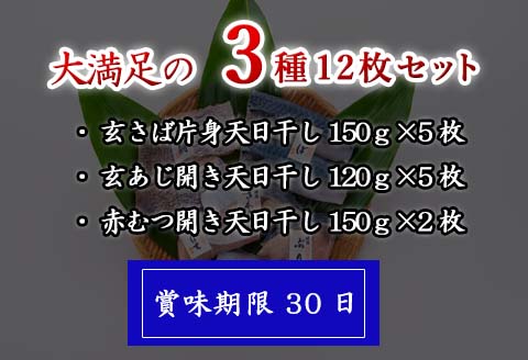 玄あじ玄さばと釣り赤むつの天日干し 3種12枚 セット 干物 おかず ギフト 昭徳