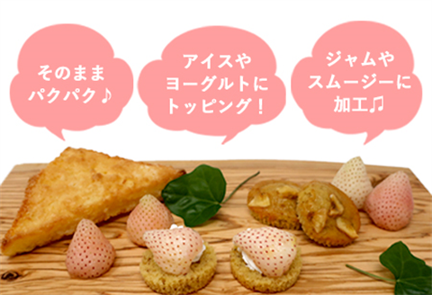 数量限定 白いちご 雪うさぎ 冷凍 2kg (佐賀県唐津市産)