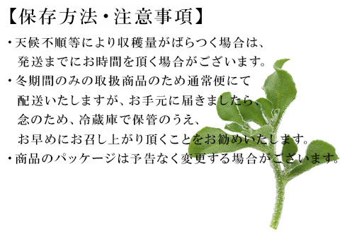 『先行予約』【11月中旬より順次発送】アイスプラント(70g×30パック)ぷちぷち食感 塩味 野菜 天ぷら 生春巻き サラダ スープ しゃぶしゃぶ 炒め物 おひたし