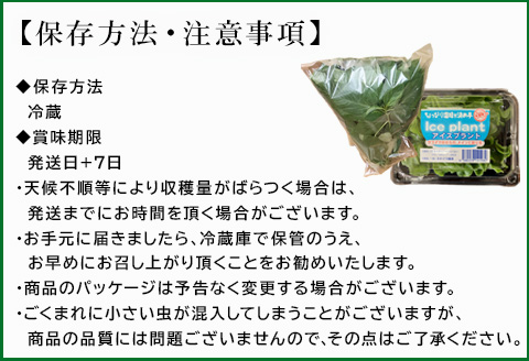 『先行予約』【12月上旬より順次発送】冬穫れハウスモロヘイヤ(100g×5袋)とアイスプラント(70g×5P)セット ネバネバ 高栄養価 プチプチ 新体験 定番おひたし 和洋中の各種スープ お肉・お魚のメイン料理の付け合わせ 色んなお料理のソースにも