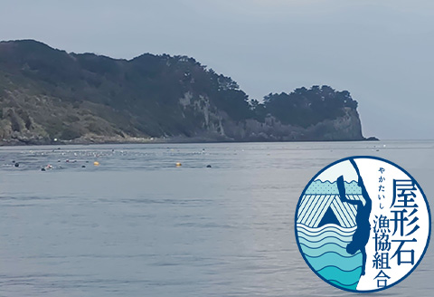 塩うに(ムラサキウニ)70g×2本 ミョウバン不使用 雲丹 海鮮 海産物 瓶詰め おつまみ おかず 酒の肴 ご飯のお供