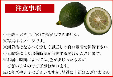 『先行予約』【令和8年11月より順次発送】皮ごと食べる マイヤーレモン 1.5kg  唐津産 柑橘 レモン れもん 檸檬