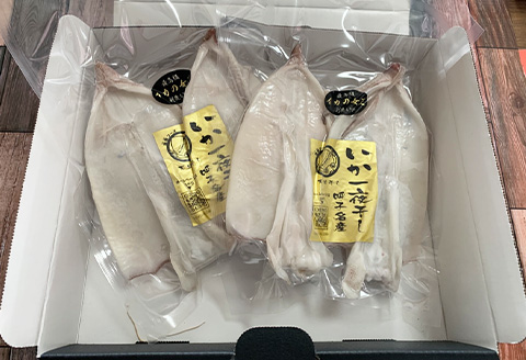 海から直送！剣先イカ一夜干し1袋2枚入り(200ｇ)×2袋 いか おつまみ 干物 酒の肴