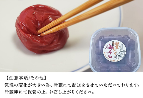 唐津市七山南高梅 田舎梅 (500g×1) 梅干し うめぼし うめ しそ ご飯のお供 ＃irodoriからつ四季の返礼品