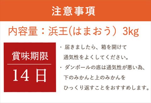『先行予約』【令和8年1月下旬発送】浜王(はまおう) ハウス栽培 唐津産 3kg 口之津(くちのつ) 39号みかん フルーツ 果物 柑橘 かんきつ