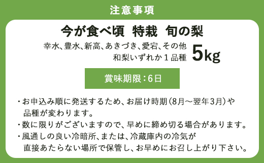 『先行予約』今が食べ頃 特栽 旬の梨5kg【令和8年の夏ごろの発送】和梨 幸水 豊水 新高 あきづき 愛宕 果物 フルーツ くだもの
