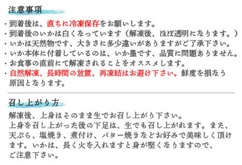 『先行予約』呼子のいか活造り1杯! コリコリ甘い鮮度抜群の透明感! 約200g 刺身 ギフト 冷凍 ※水揚げあり次第6月以降順次発送させていただきます。