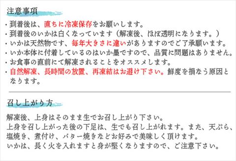 呼子のいか活造り1杯(360g前後) 特大サイズ コリコリ甘い鮮度抜群の透明感! 刺身 ギフト 冷凍