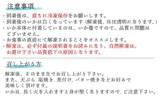 鮮度抜群 呼子 いかのさしみ 80g×3袋 イカ 烏賊 刺身 簡単 夕食 解凍するだけ