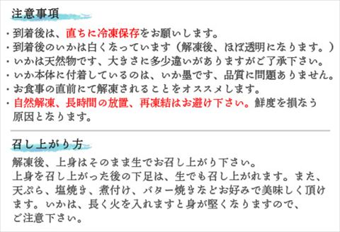 『先行予約』呼子のいか活造り1杯! コリコリ甘い鮮度抜群の透明感! 約250g 刺身 ギフト 冷凍※水揚げあり次第5月以降順次発送させていただきます。