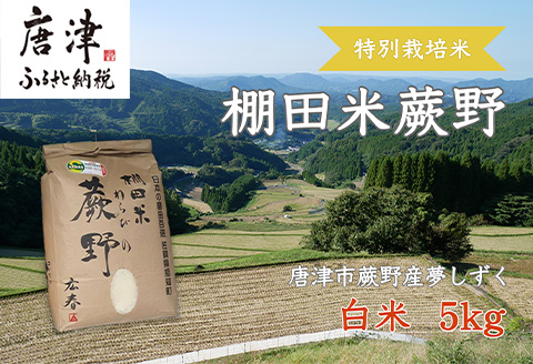 特別栽培棚田米「蕨野」5kg×1袋(合計5kg) 家庭排水が一切入らない自然水で作られたお米 10日に1回精米で新米のような味わい