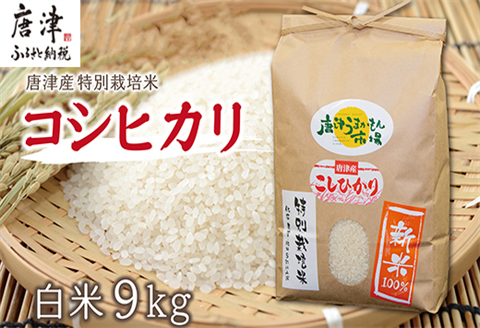 【令和7年産 新米】唐津産特別栽培米 コシヒカリ(白米) 4.5kg×2袋(合計9kg) ご飯 コメ お米