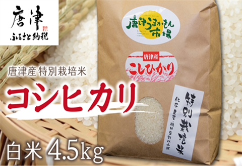 【令和7年産 新米】唐津産特別栽培米 コシヒカリ(白米) 4.5kg ご飯 コメ お米