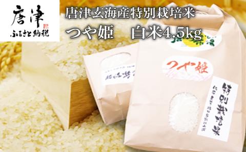 【令和6年産】唐津玄海産特別栽培米つや姫 白米4.5kg 粘りと柔らかさのバランスが良いお米 ギフト ごはん