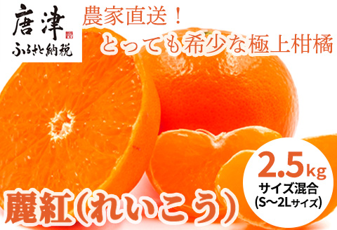 『予約受付』【令和8年1月下旬発送】麗紅(れいこう) ハウス栽培 唐津産 2.5kg 混合サイズ みかん 蜜柑 柑橘 果物 フルーツ