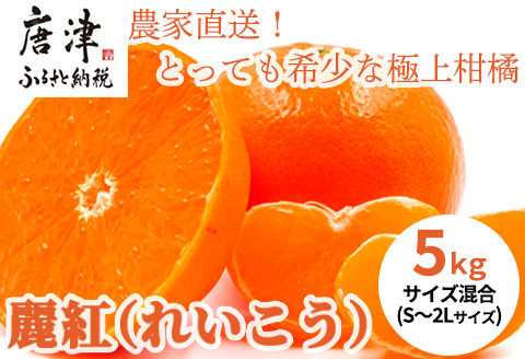 『先行予約』【令和8年1月下旬発送】麗紅(れいこう）ハウス栽培 唐津産 5kg 混合サイズ みかん 蜜柑 柑橘 果物 フルーツ