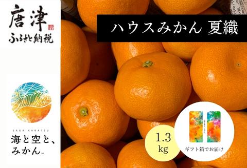 『先行予約』【令和8年6月より順次発送】夏の極上ハウスみかん「夏織」1.3kg  贈答箱・ギフトボックス入り ～海と空と、みかん～ 甘くてとろける夏の果物に ミカン フルーツ 柑橘