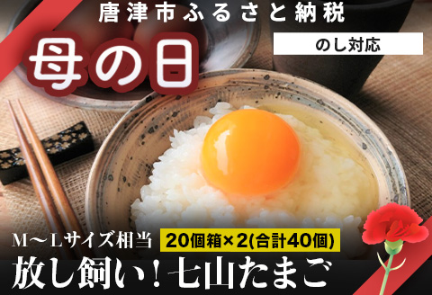 「母の日」放し飼い！七山たまご 20個箱×2(合計40個) (Ｍ~Ｌサイズ相当) 玉子 生卵 鶏卵 佐賀県唐津産