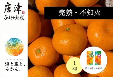 『先行予約』【令和8年1月下旬発送】唐津産ハウス育ち「不知火」1kg 贈答箱・ギフトボックス入り  ～海と空と、みかん～ デコポン ミカン みかん 柑橘 ギフト