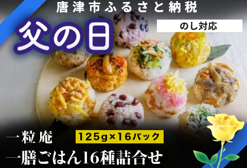 「父の日」(一粒庵) 一膳ごはん16種詰合せ 125g×16(合計2kg) 簡単調理 玄米 おこわ