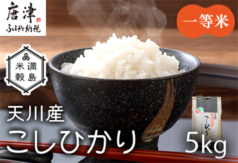『先行予約』【令和6年産】特別栽培米 【一等米】 唐津市天川産 こしひかり 5kg 減肥減農薬で育てた特別栽培米をお届け たんぱく質が少なく食味が良いお米