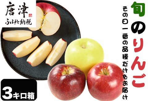 『先行予約』【令和7年8月中旬発送】厳選 九州旬のりんご 3キロ箱(8～12玉入) 九州 リンゴ 林檎 フルーツ 果物 つるが 秋映 紅将軍 シナノスイート シナノゴールド 3kg