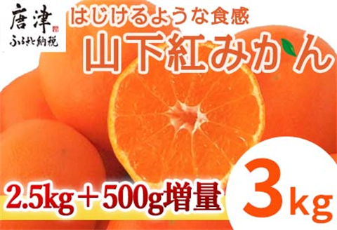 『先行予約』【令和7年11月発送】山下紅みかん(ハウス栽培) 唐津産 3kg ミカン 蜜柑 果物 フルーツ