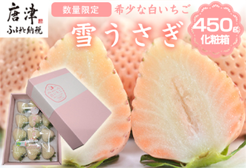 『先行予約』【令和8年1月より順次発送】白いちご 雪うさぎ 450ｇ入り化粧箱（佐賀県唐津市限定生産）苺 イチゴ 希少 果物 フルーツ