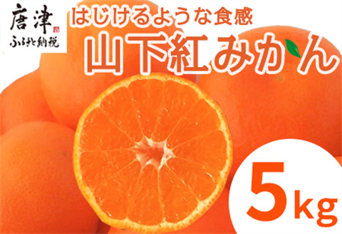 『先行予約』【令和7年11月発送】山下紅みかん(ハウス栽培)唐津産 5kg ミカン 蜜柑 果物 フルーツ