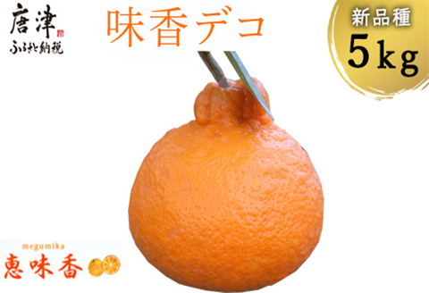 『先行予約』【令和8年3月上旬発送】糖度が高すぎッ！味香デコ 5kg 新品種 果皮も美味しく食べられる！フルーツ 果物 デザート 柑橘