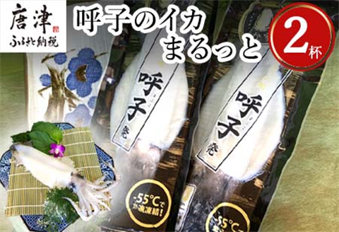 呼子のイカまるっと2杯 瞬間冷凍の旨さを呼子発でお届け 海鮮 スルメイカ 新鮮松いか