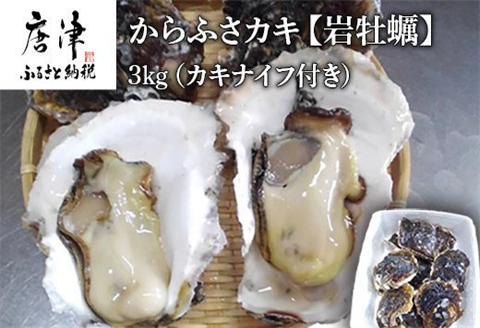 『先行予約』【令和8年6月から発送】唐津市唐房産 からふさカキ『岩牡蠣』3kg(カキナイフ付き) 貝 BBQ ギフト アウトドア