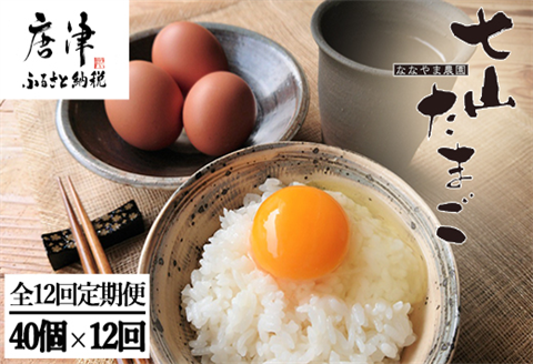 「全12回定期便」放し飼い！七山のたまご MLサイズ相当 (40個×12回) 合計480個 冷蔵 卵 玉子 平飼い 佐賀県唐津産
