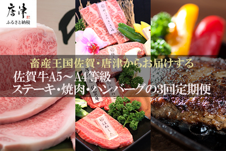 「定期便全3回」 佐賀牛 ステーキ250g×2・焼肉360g・ハンバーグ140g×10個 (合計2.26kg) 寄附翌月から発送 A5～A4等級 ギフト 贈り物