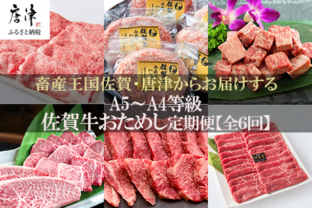 「定期便全6回」 佐賀牛 お試し定期便 寄附翌月から発送 (合計2.84kg) A5～A4等級 ギフト 贈り物