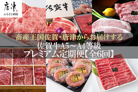 「定期便全6回」 佐賀牛 プレミアム定期便 寄附翌月から発送 A5～A4等級 ギフト 贈り物