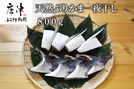 天然ぶりかま一夜干し ハーフ2食×4袋(合計800g) おかず おつまみ