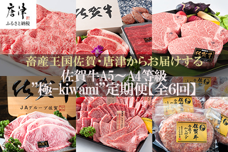 「定期便全6回」 佐賀牛 極-kiwami- 寄附翌月から発送 A5～A4等級 ギフト 贈り物