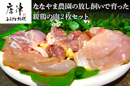 佐賀県産 放し飼いで育った親鶏の肉 (もも むね ささみ各2枚×2) 煮込み料理 たたき