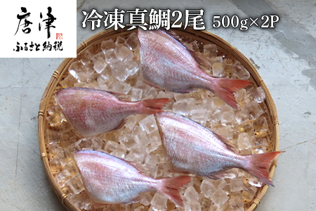 冷凍真鯛 2尾500g×2P(合計1kg) 佐賀県唐津産 天然 真空パック 刺身 煮付 塩焼き