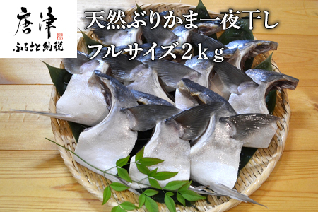 天然ぶりかま一夜干し フルサイズ1食200g×10袋(合計2kg) おかず おつまみ