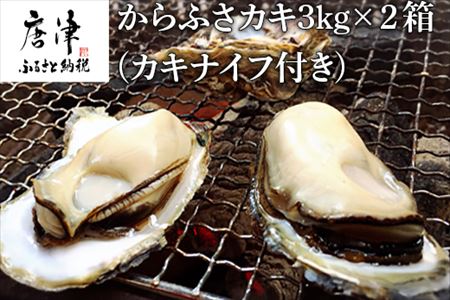 『予約受付』【令和8年3月上旬発送】佐賀県唐津市唐房産 からふさカキ3kg (カキナイフ付き) レシピ 牡蠣 BBQ アウトドア