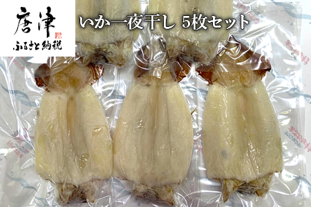 いか一夜干し 5枚セット(合計約600g) おさかな村 つまみ おかず