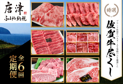 「定期便全6回」 佐賀牛づくし 寄附翌月から発送 (合計2.7kg) A5～A4等級 ギフト 贈り物